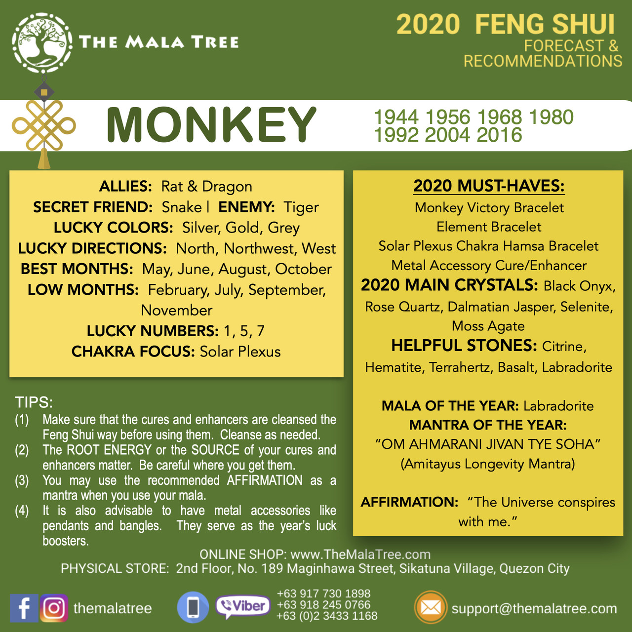 MONKEY in 2020 MONKEY in 2020